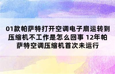 01款帕萨特打开空调电子扇运转到压缩机不工作是怎么回事 12年帕萨特空调压缩机首次未运行